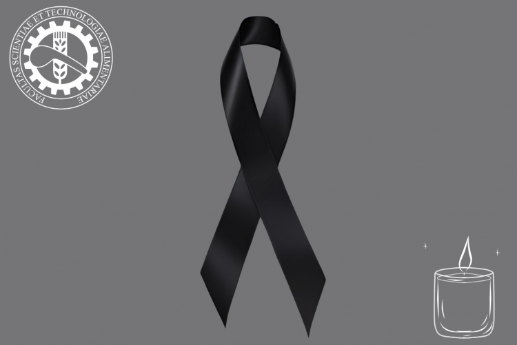 Grafika z czarną wstążką w centrum oraz świecą w prawym dolnym narożniku oraz logo wnoziz w prawym górnym narożniku, tło szare
